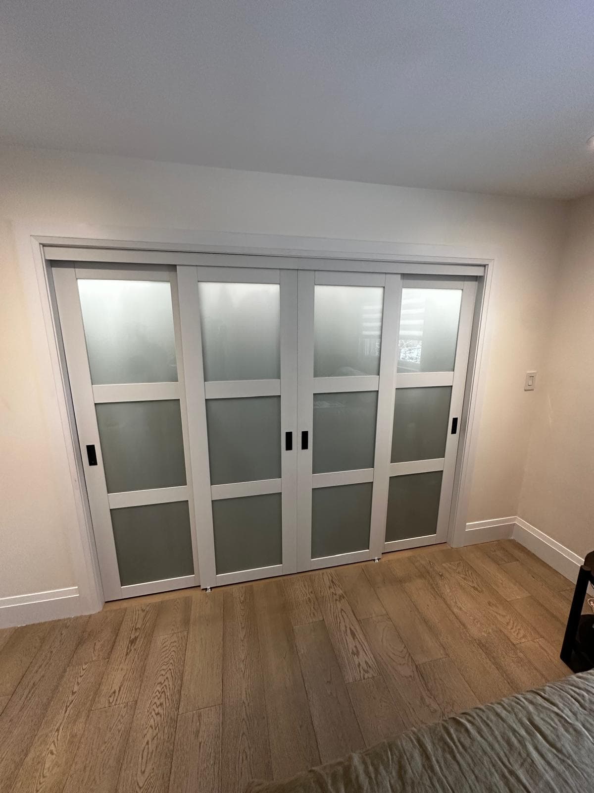Basement bedroom with frosted sliding closet doors and wide-plank wood flooring
